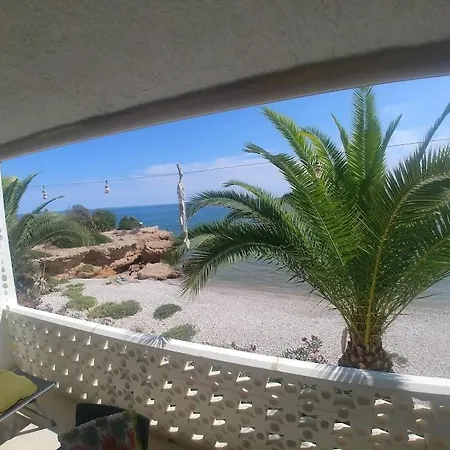 Tina Paradise Alcanar