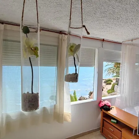 Tina Paradise Apartment